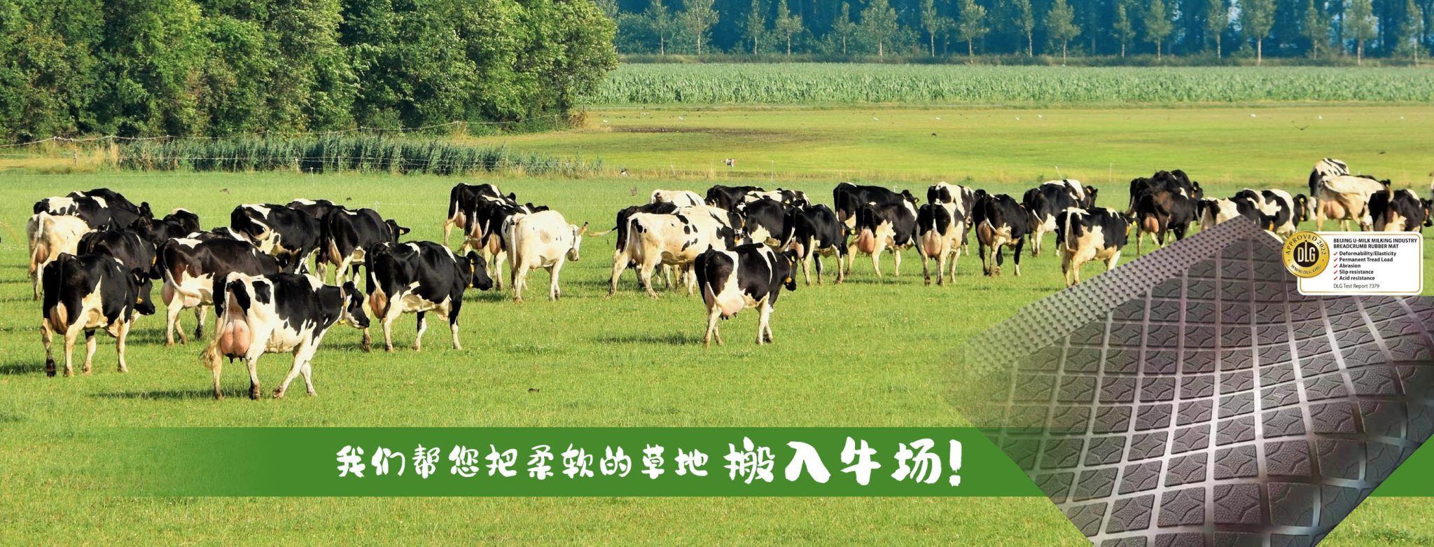 主页大图01