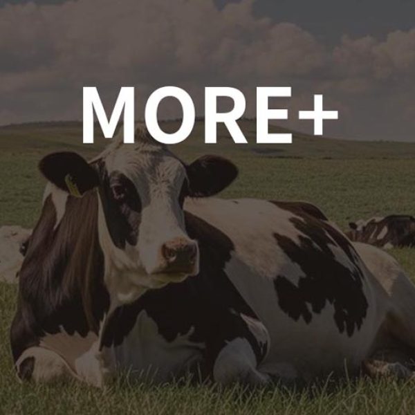 U-milk-MORE