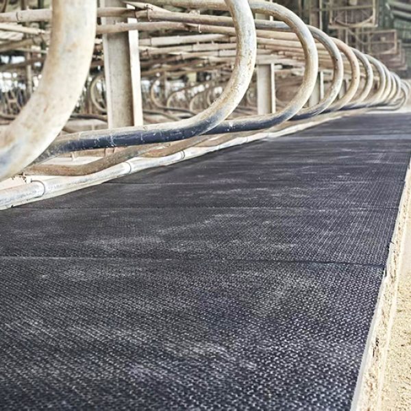 微信图片_20251020113425_2_219